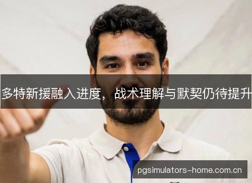 多特新援融入进度，战术理解与默契仍待提升